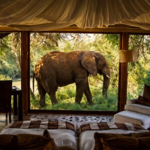 Maasai Mara Wildlife Safari – 3 Days / 2 Nights